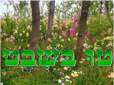Tu BiSh'vat Poster (a downloadable item)