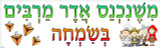 Mishenichnas Adar Banner 2