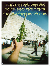 Shalosh Pa'amim Poster
