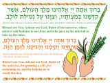 Lulav Blessings Poster