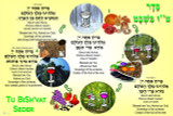 Tu BiSh'vat Seder Bulletin Board