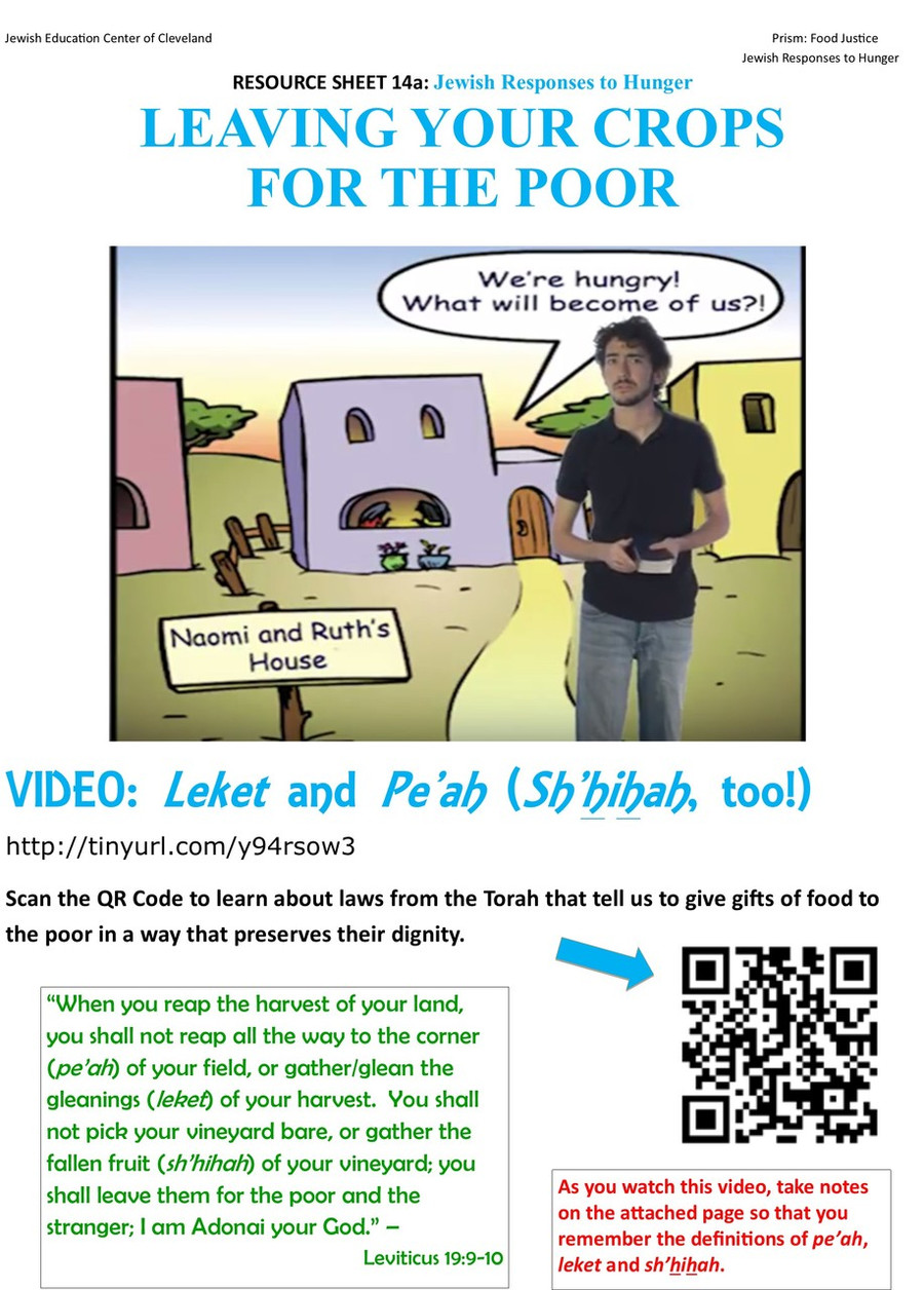 The Prism Project (Food Justice) Poster Set
