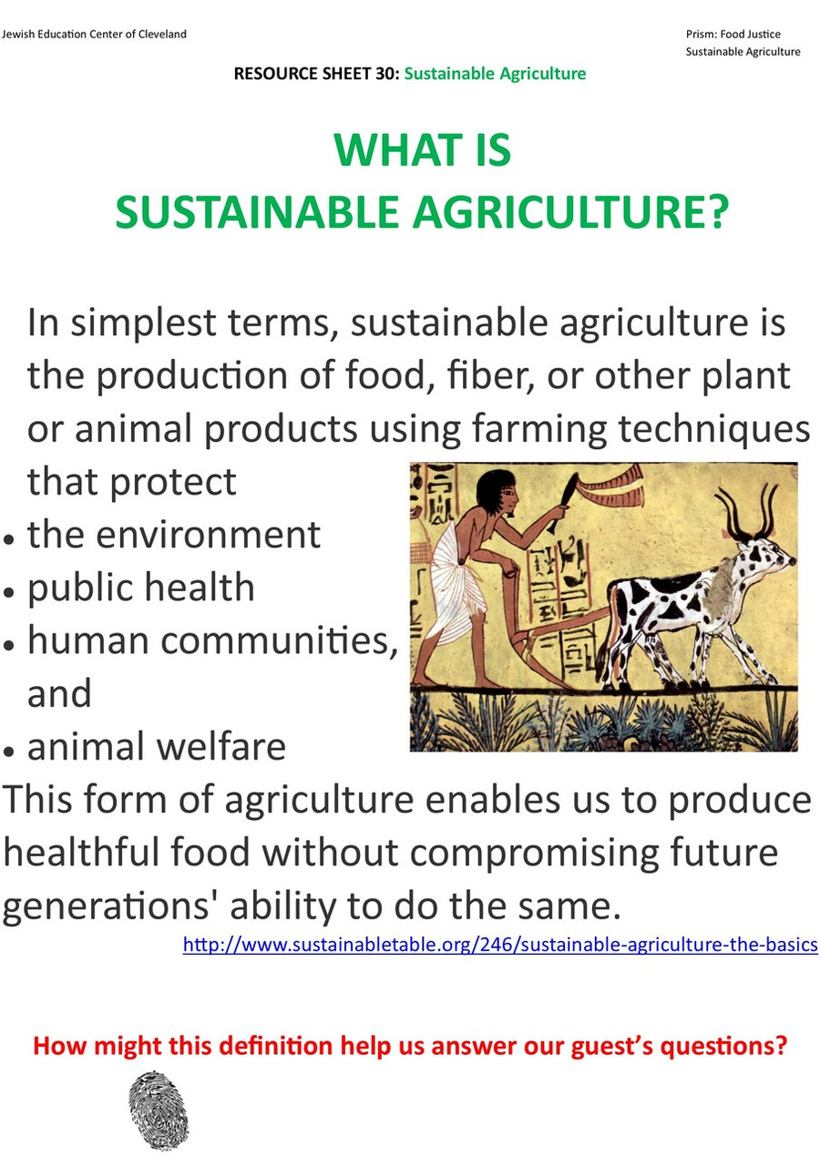 The Prism Project (Food Justice) Poster Set