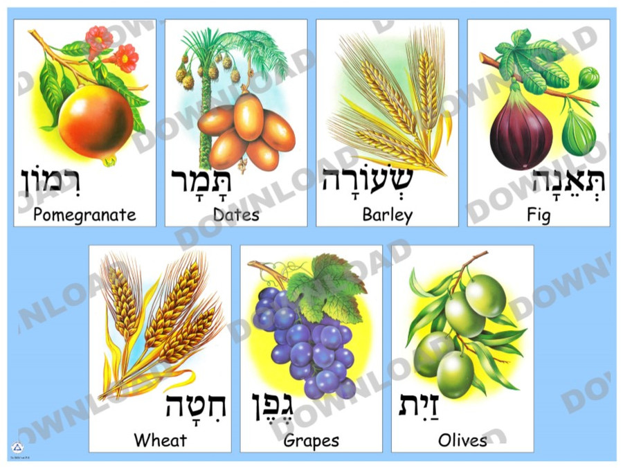 Shivat Haminim Poster (a downloadable item)