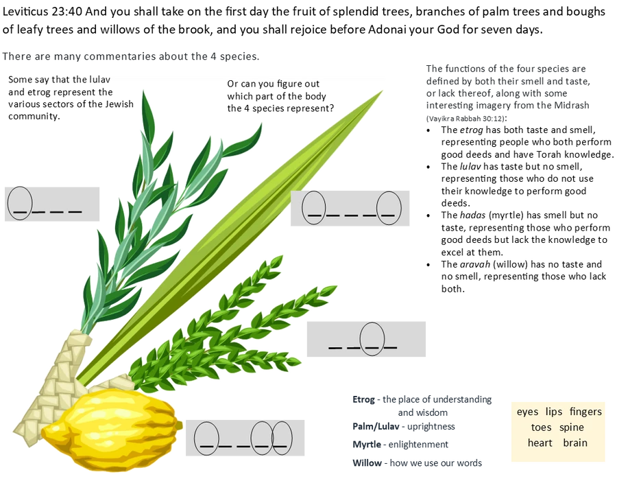 BreakoutEDU-THE SUKKOT CHALLENGE