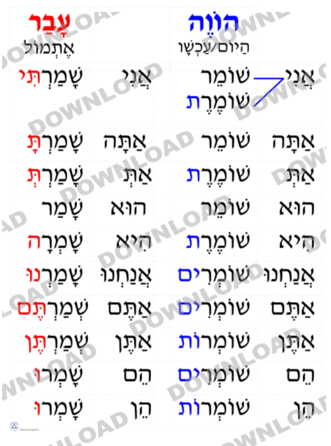 Past, Present Tenses Poster (a downloadable item)
