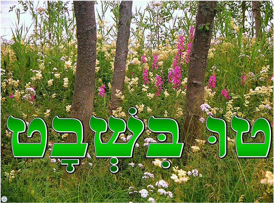 Tu BiSh'vat Poster