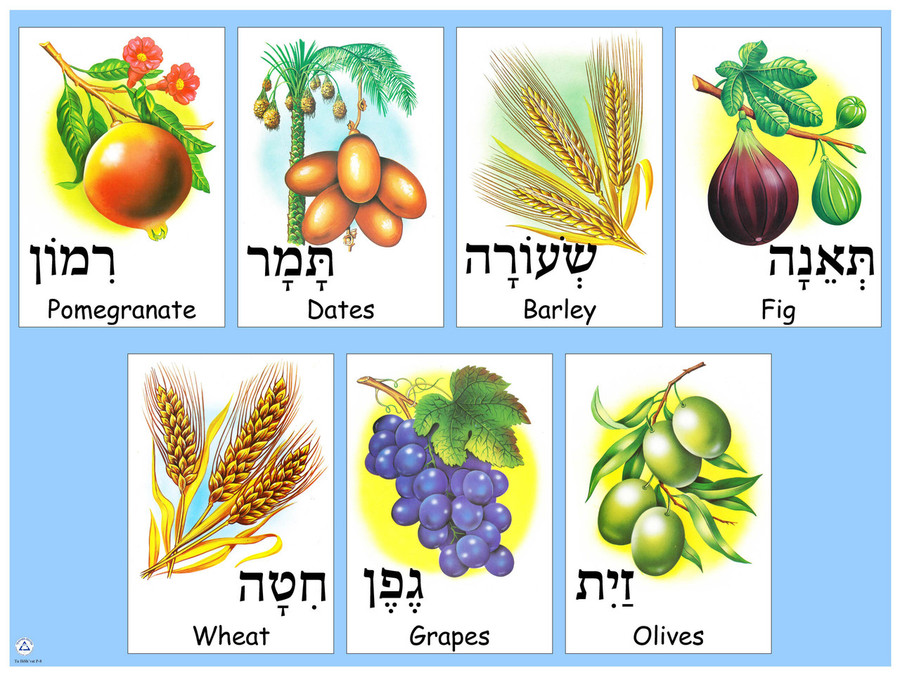 Shivat Haminim Poster