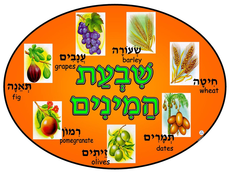 Shivat Haminim Oval Poster