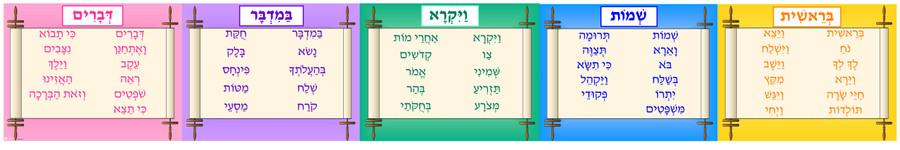 5 Books of the Torah Banner