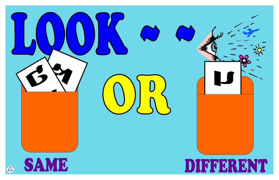 Look the Same/Look Different Game