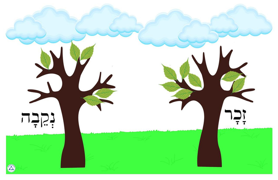 Ya'ar Zachar/Nekaivah