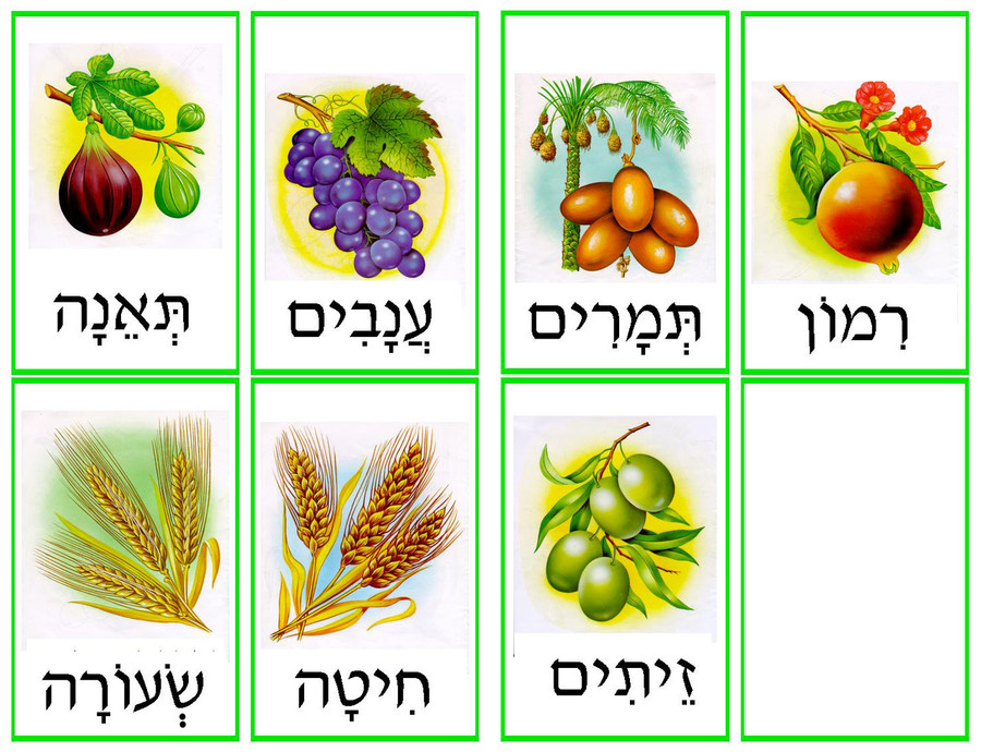 Shivat HaMinim Memory