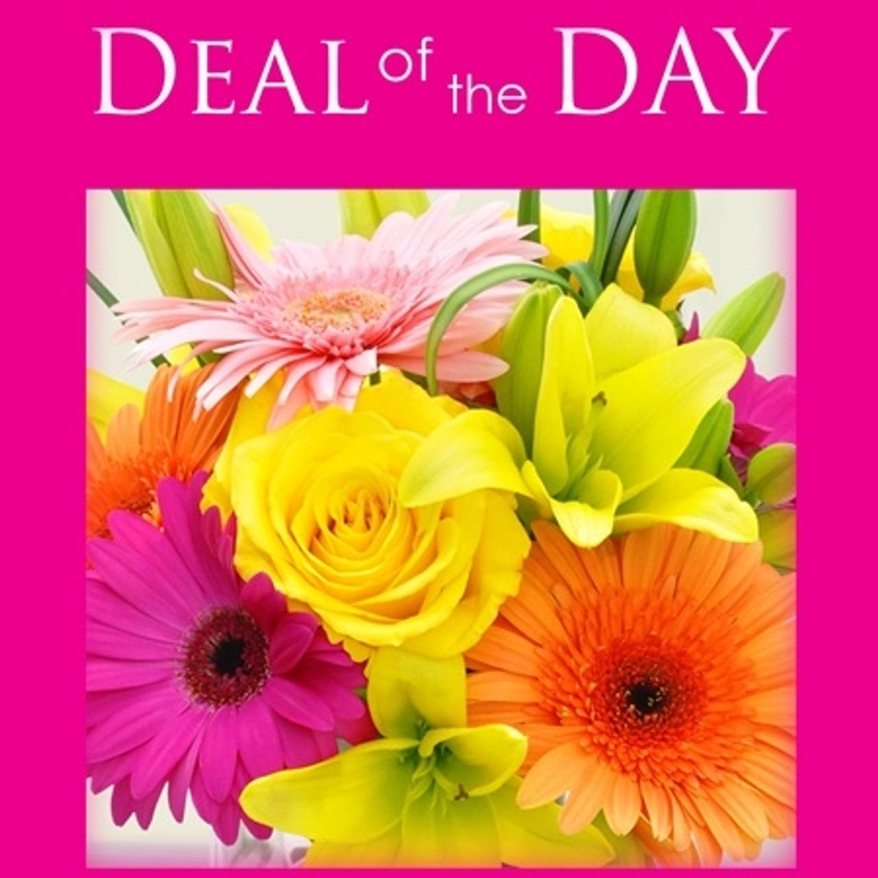 Daily Deal - Northern Blvd. Florist -Queens