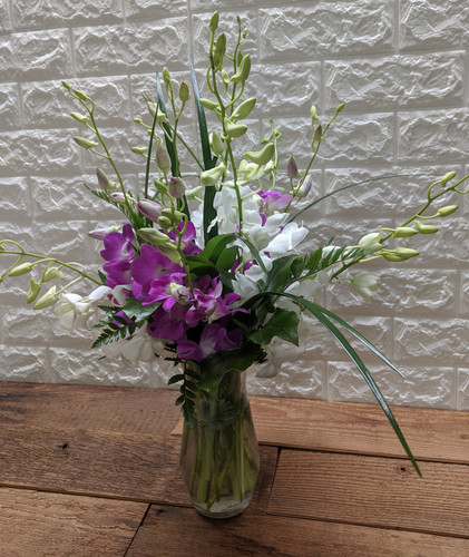 Dendrobium Orchid Vase