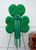 Shamrock