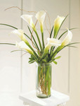 Simple Sophistication Arrangement