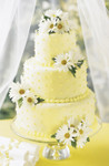 Daisy Delight Cake Decoration