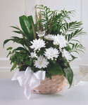 Peaceful Garden Basket