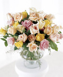 Display of Affection Arrangement
