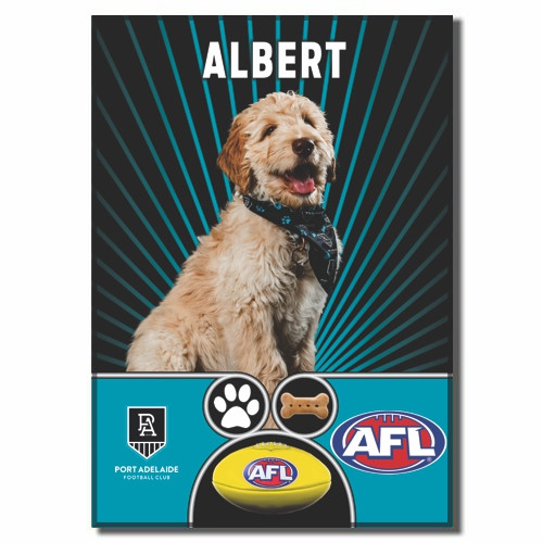 2026 Albert Magnet