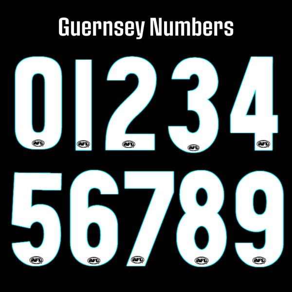 PA Macron 2027 Gather Round LS Guernsey - Youth