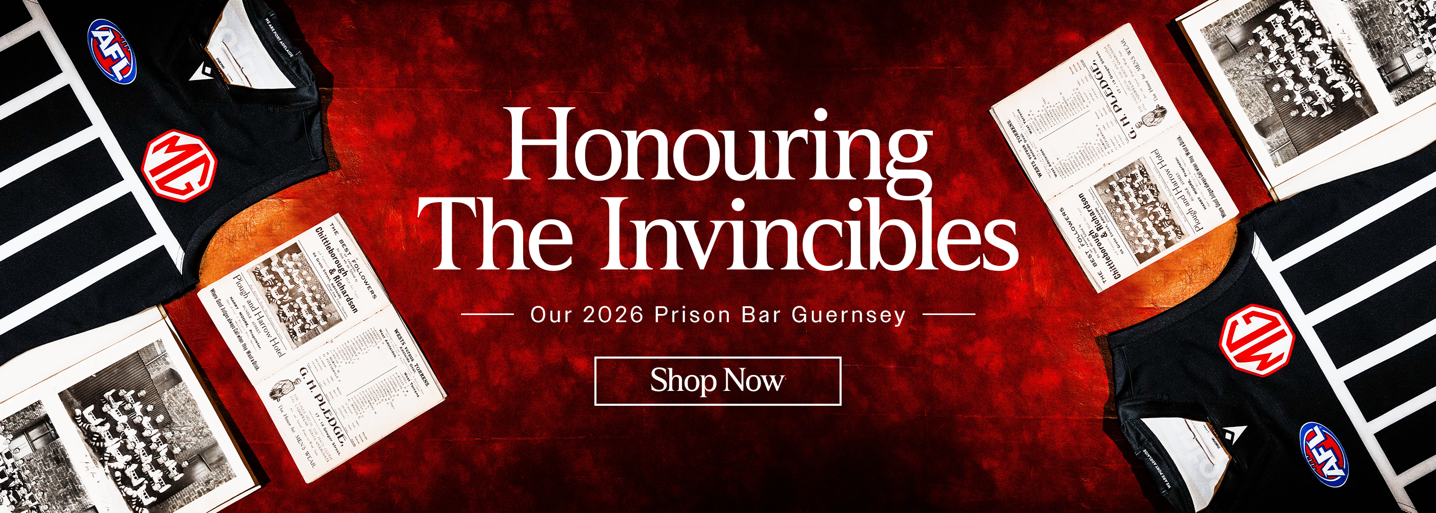 Promotional Banner