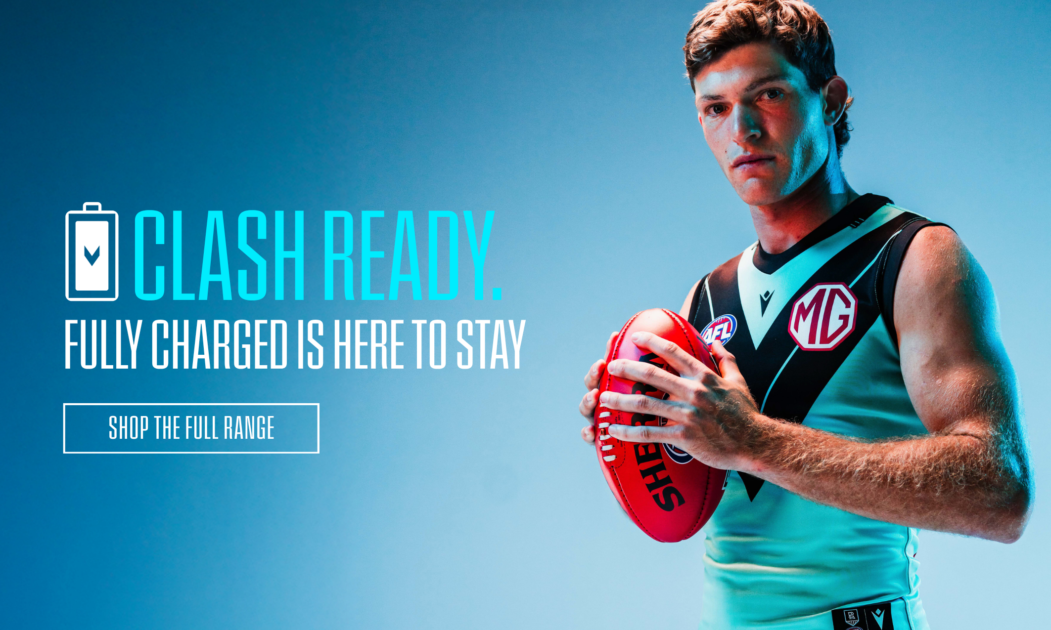 Promotional Banner