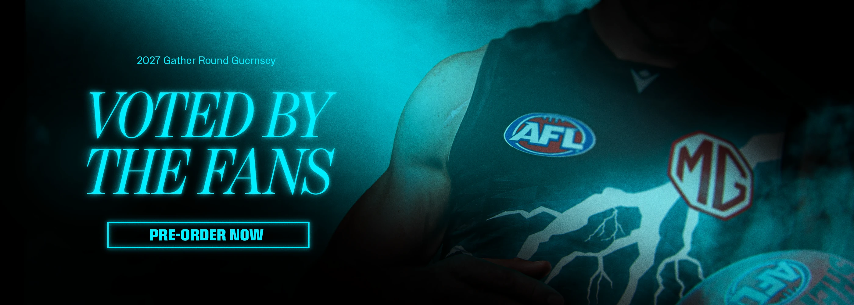 Promotional Banner