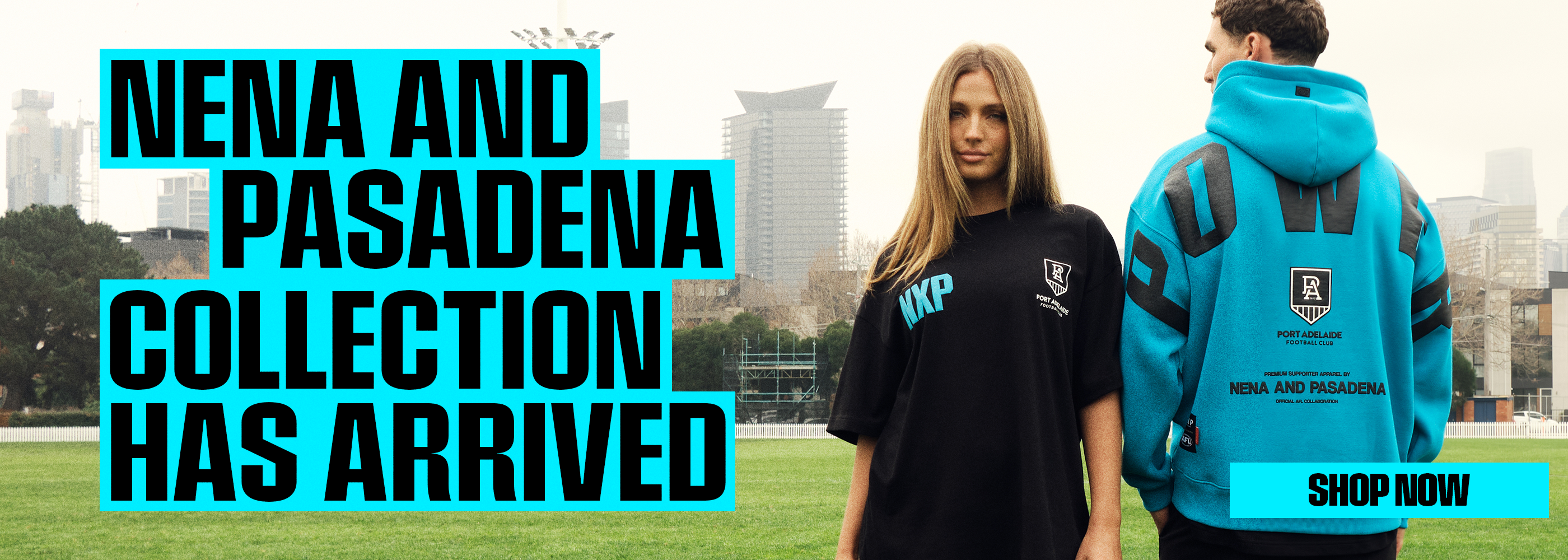 Promotional Banner