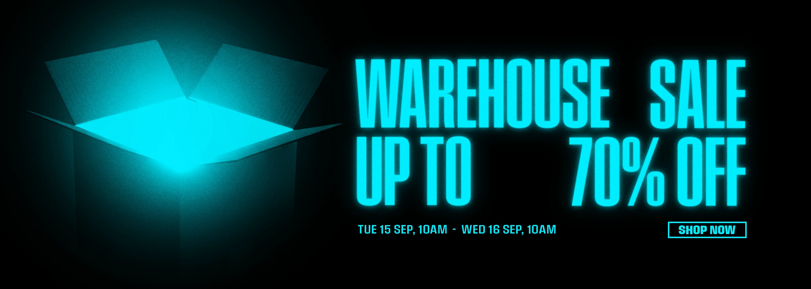 Promotional Banner