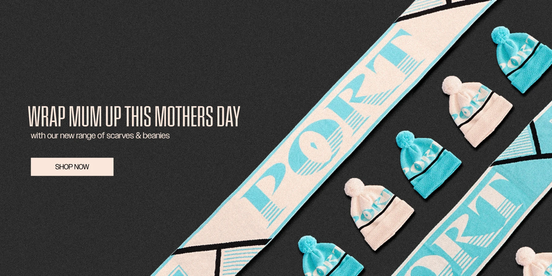 Promotional Banner