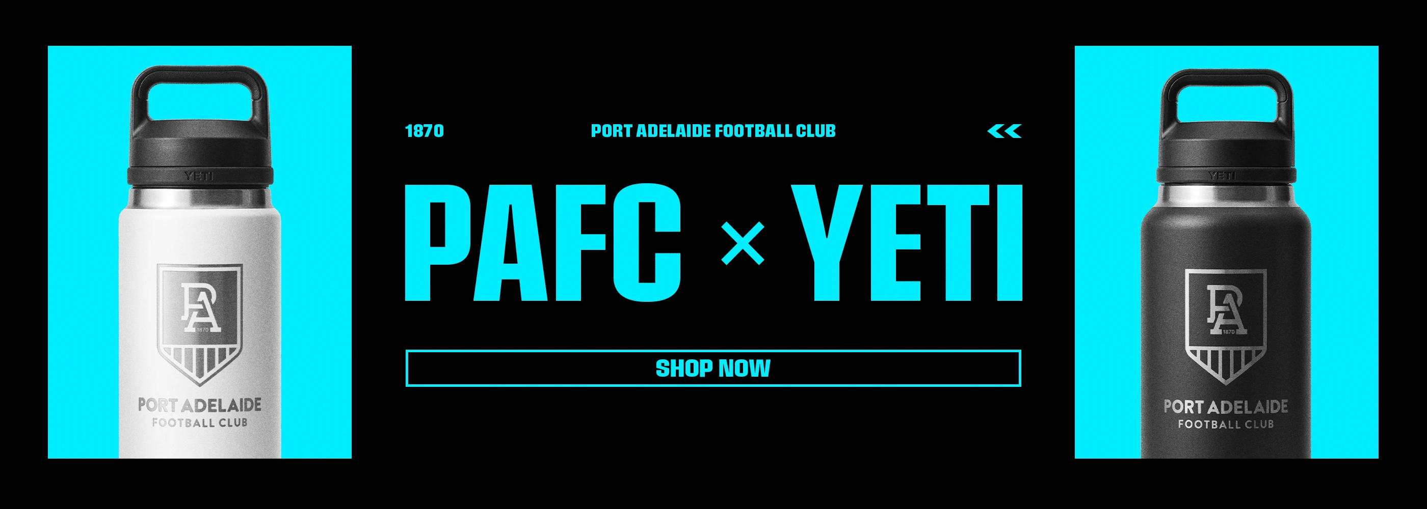 Promotional Banner