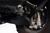 DV8 Offroad 22-23 Toyota Tundra Front Lower Control Arm Skid Plates