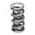Manley .950in Valve Lift 1.522in OD NexTek Series Lightweight Dual Drag Race Valve Springs Set of 16
