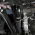 Mishimoto 2023+ Toyota GR Corolla Intercooler & Pipe Kit - Black Cooler - Black Pipes
