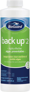 BioGuard Back Up 2 Algaecide 32 oz