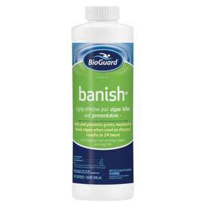 BioGuard Banish Algaecide For Swimming Pools - 1 qt