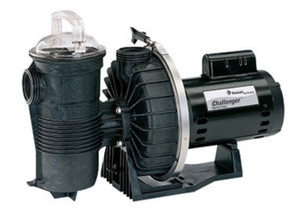 pentair dynamo pump