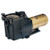 Hayward Super Pump 1 HP