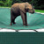 Rectangle Loop-Loc Ultra-Loc III Pool Safety Cover w/ Pump - 16x32 Solid