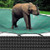 Rectangle Loop-Loc Pool Safety Cover - 16' x 32' Gray Mesh