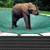 Loop-Loc - 20 x 41 Gray Mesh Rectangle Safety Cover for Inground Pools