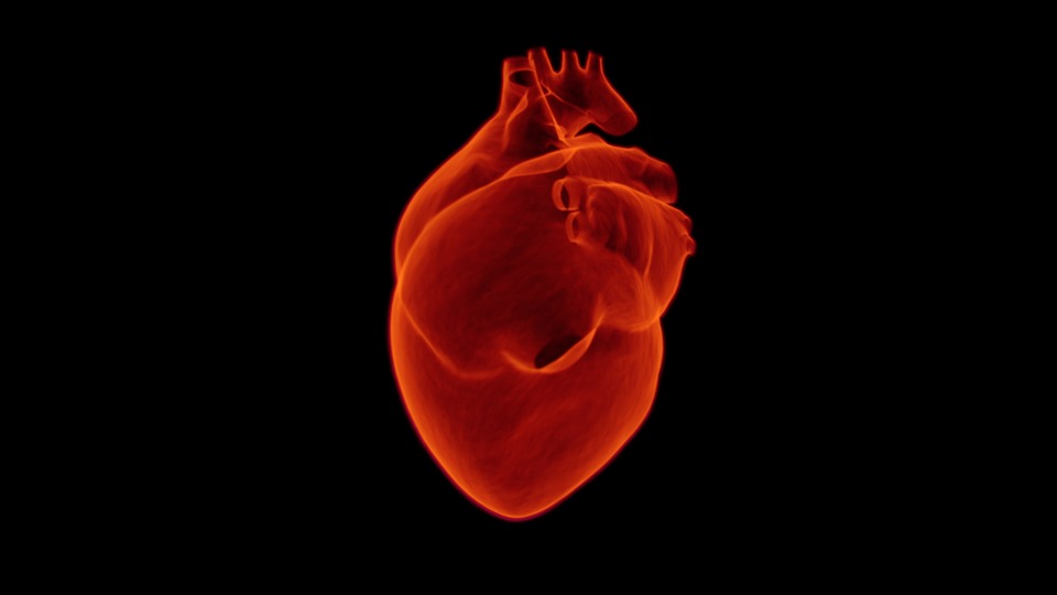 Recovering From a Heart Attack