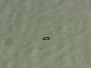 Bolt Gasket CS103E, -F, -G