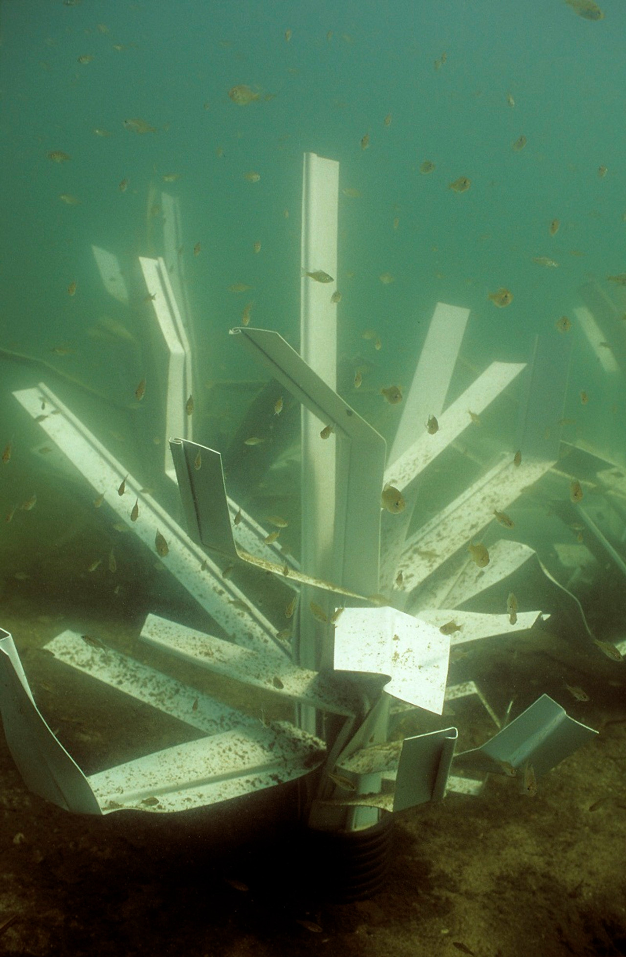 Fish Hiding Structures - Fishiding Reclaimed Artificial Fish Habitat