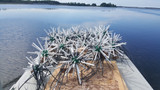 Best PVC Fish Habitat Structures Compared for 2026