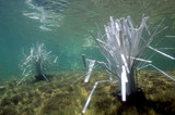 Are PVC Fish Habitat Structures Safe for Koi Ponds? 2026