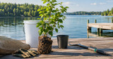 American Fish Tree alternatives: Fishiding wins (2026)
