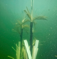 Best Catfish Habitat Structures in 2026: Ranked